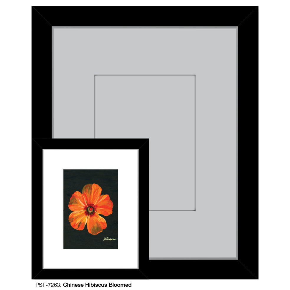 Chinese Hibiscus Bloomed, Print (#7263A)