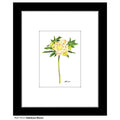 Hellebore Bloom, Print (#7514A)