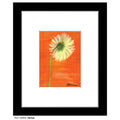 Gerber, Print (#7026A)