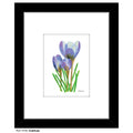 Gratitude, Print (#7759A)