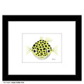 Green Puffer Fish, Print (#8367B)