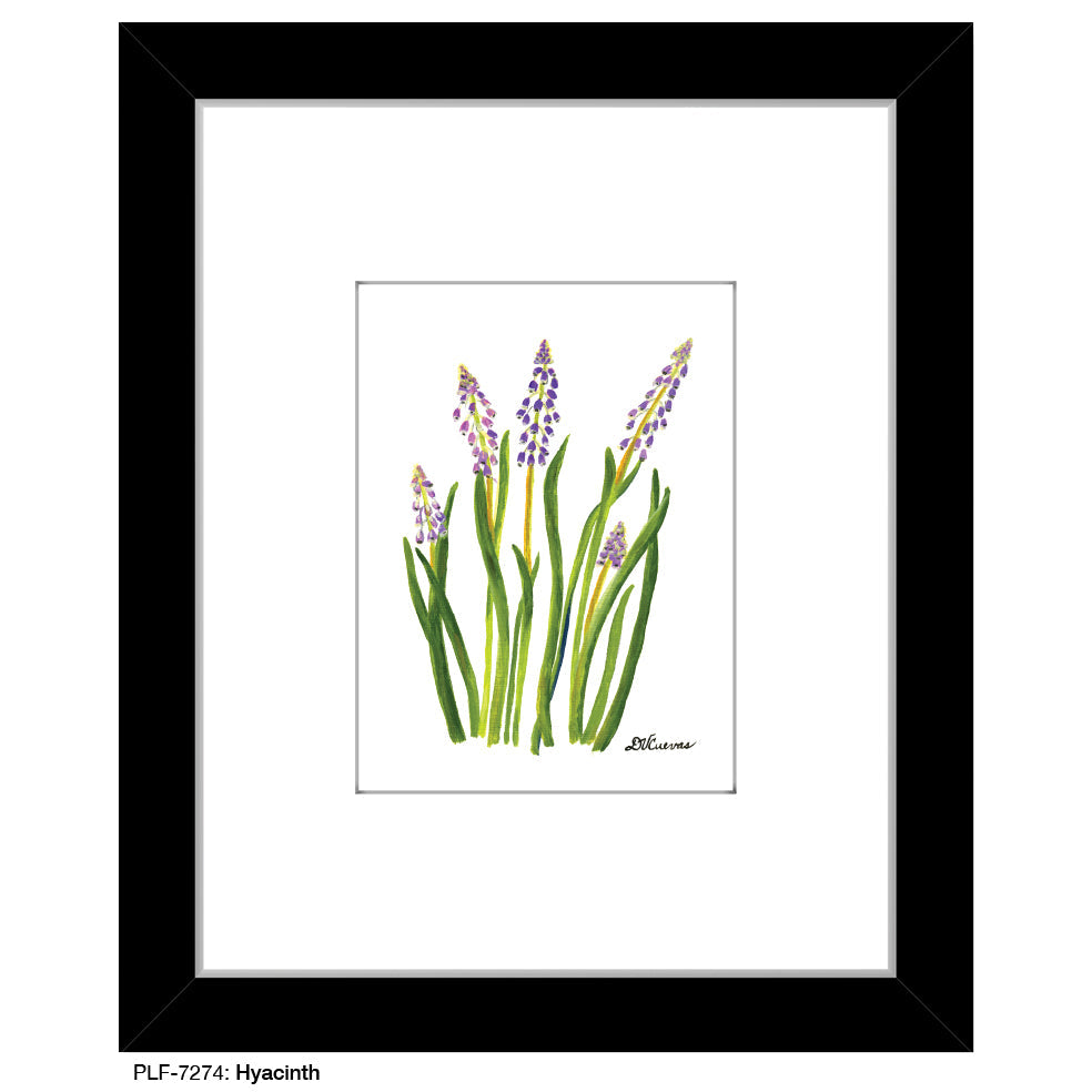 Hyacinth, Print (#7274A)