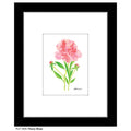 Peony Muse, Print (#7826A)