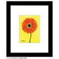 Gerber in Orange & Yellow, Print (#7347B)