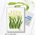 Tulipa Cultivar, Mini Canvas (MC-7401B)