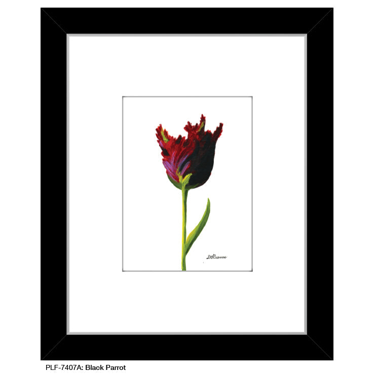 Black Parrot, Print (#7407A)