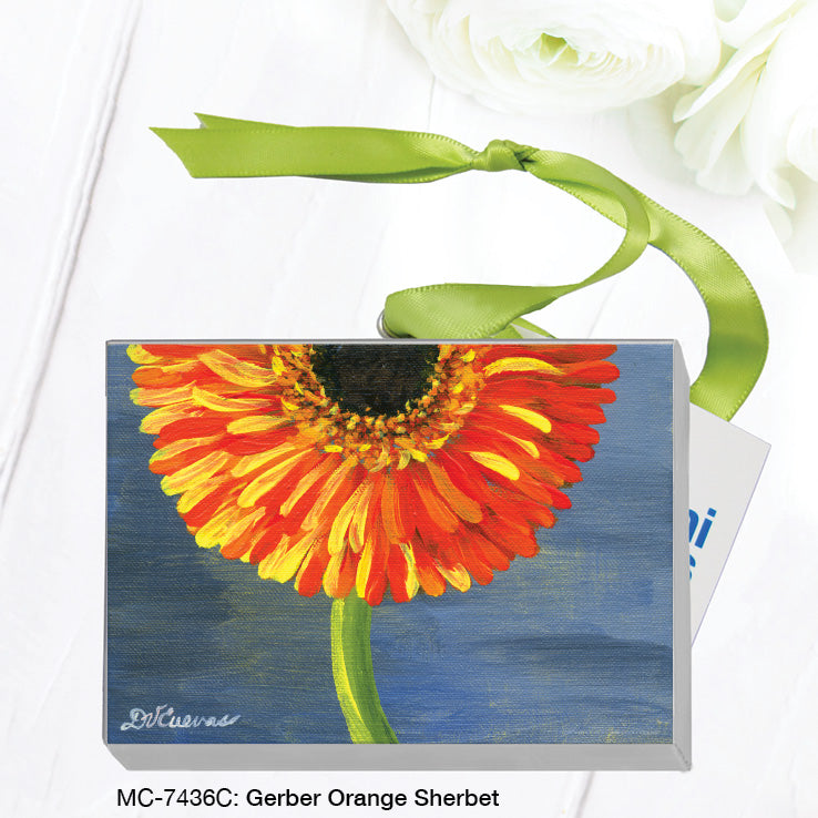 Gerber Orange Sherbet, Mini Canvas (MC-7436A)