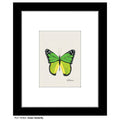 Green Butterfly, Print (#7638A)