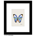 Lauren Butterfly, Print (#7641A)