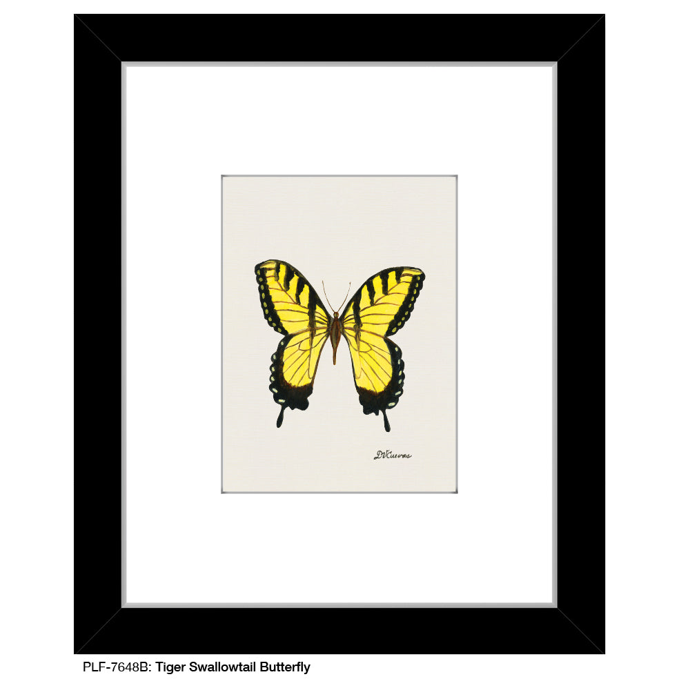 Tiger Swallowtail Butterfly, Print (#7648B)
