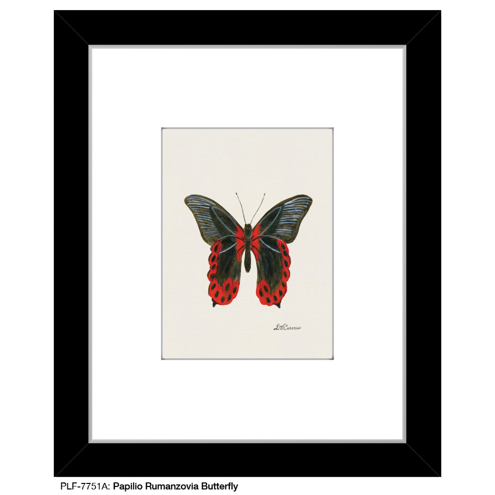 Papilio Rumanzovia Butterfly, Print (#7751A)