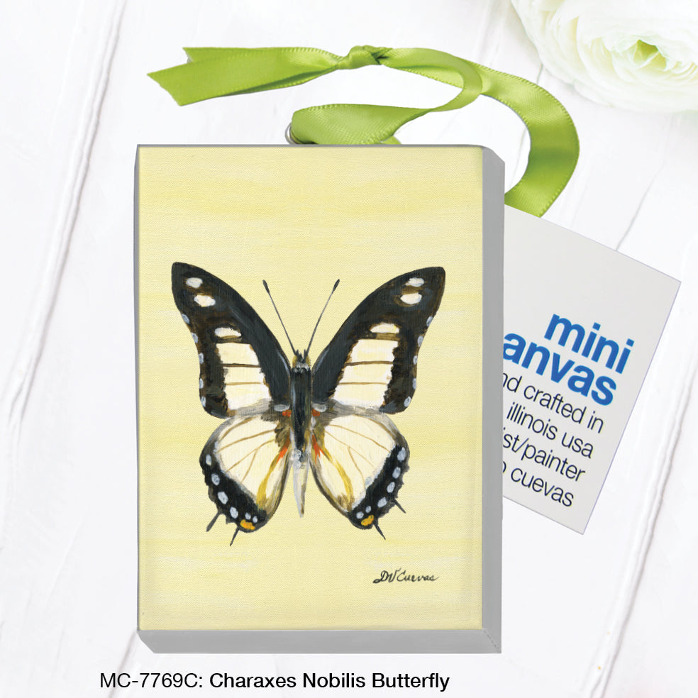 Charaxes Nobilis Butterfly, Mini Canvas (MC-7769C)