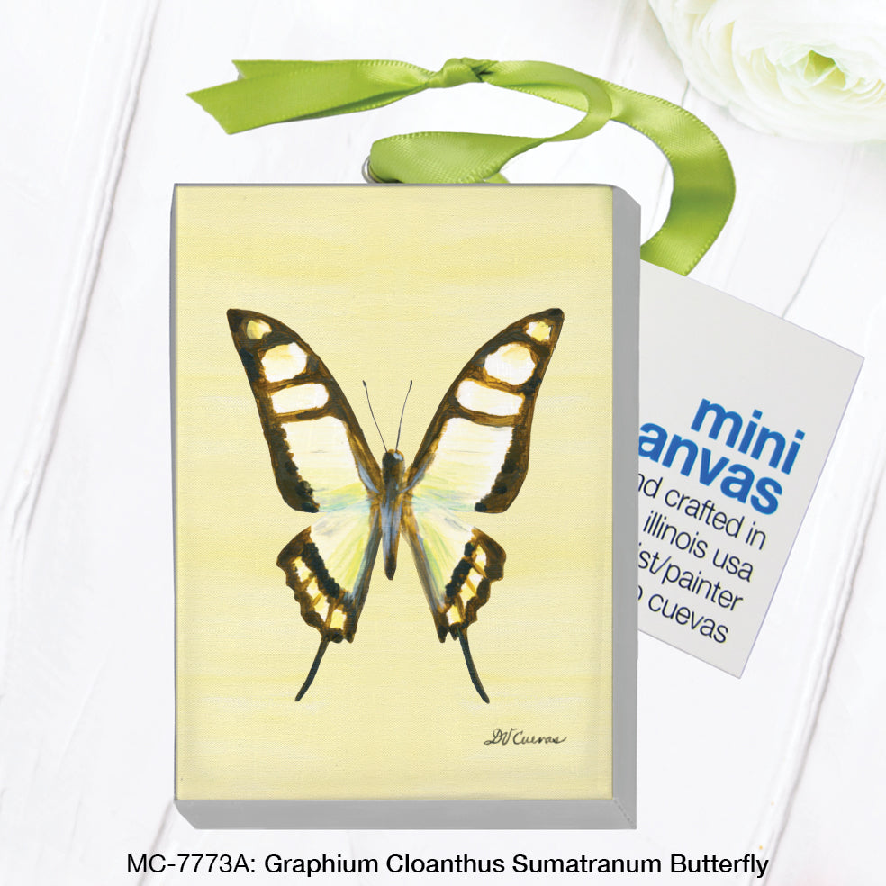 Graphium Cloanthus Sumatranum Butterfly, Mini Canvas (MC-7773A)