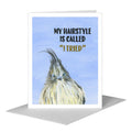 Feather Mohawk, Greeting Card (#8317H)